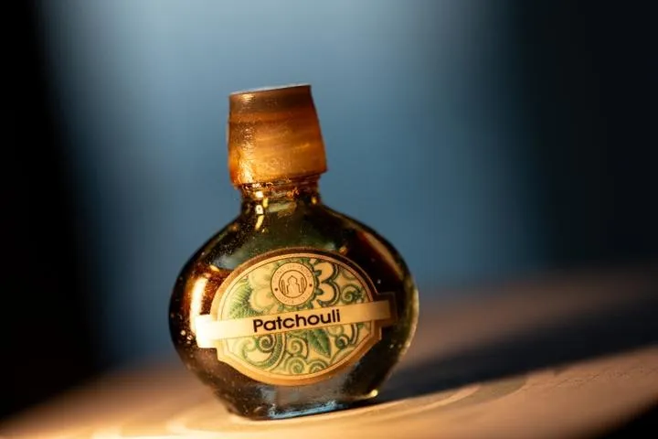 Porównanie modeli lustrzanek